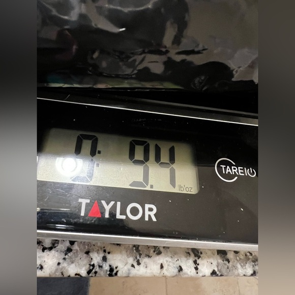 Carolina Belle Montreal Floral Ankle Pant Stretch Size 6 - Picture 9 of 9